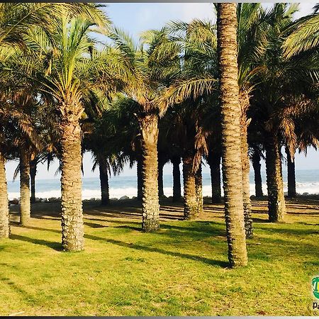 Palmeras Del Golf - Torrequebrada Benalmádena Quarto foto